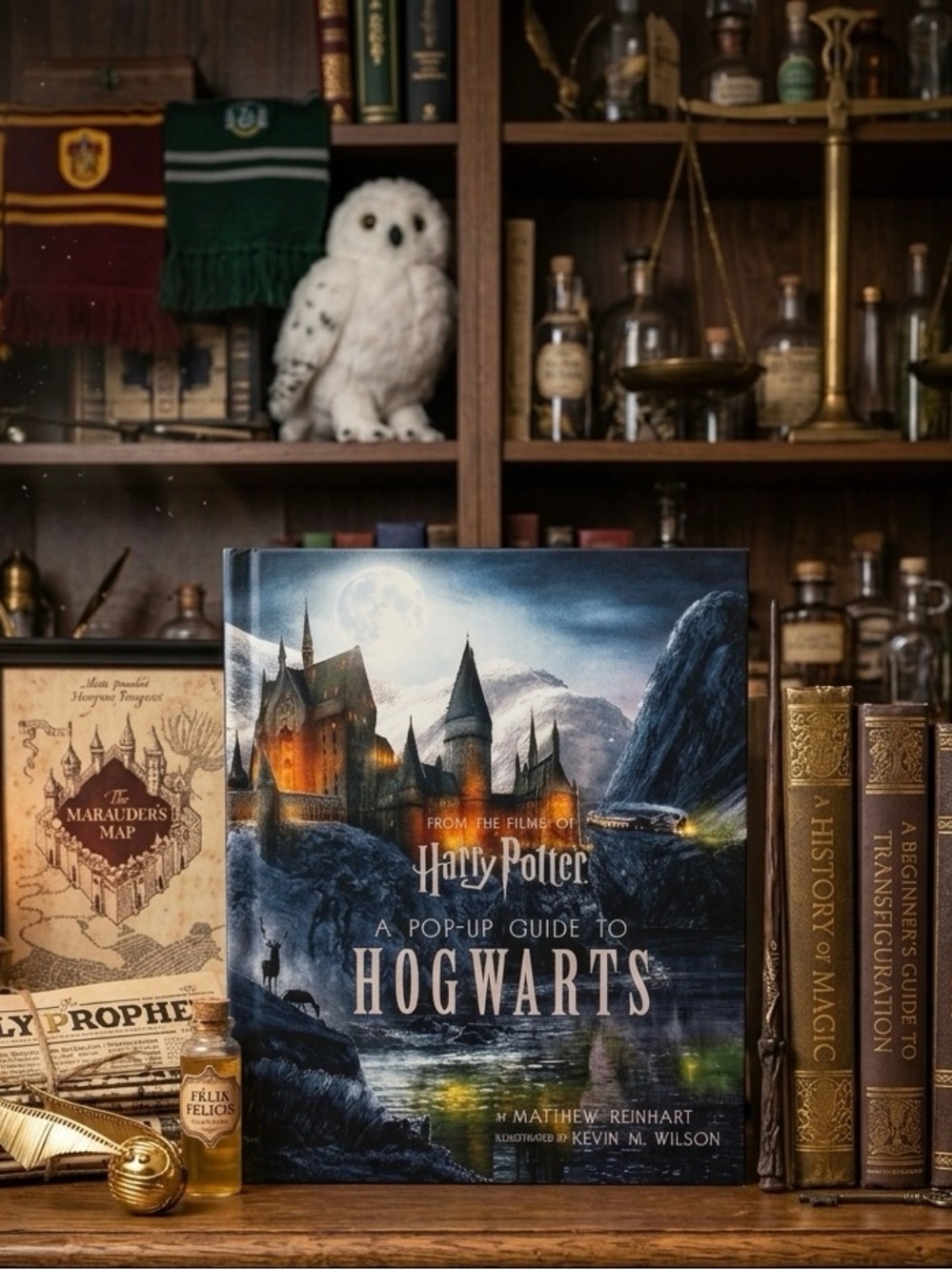 Harry Potter: A Pop-Up Guide to Hogwarts by Matthew Reinhart (Hardcover)